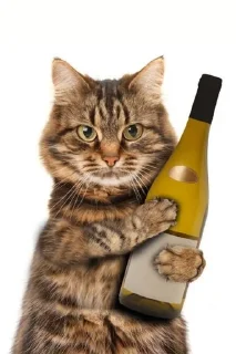 😲 emoji котіки Telegram sticker 8 of 15