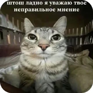 👍 emoji Хуня  йанасары @TgEmodziBot Telegram sticker 11 of 15