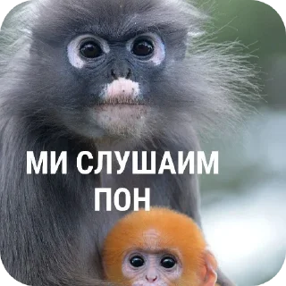 👂 emoji Обезьяны~Бебезяны Telegram sticker 8 of 16