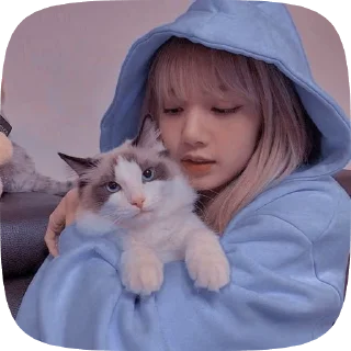 🌟 emoji Ама Квін кард Telegram sticker 21 of 25