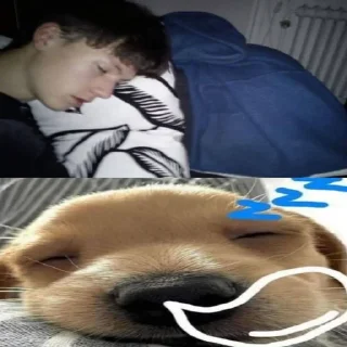 🌟 emoji собачка мили @klwweqx Telegram sticker 20 of 28