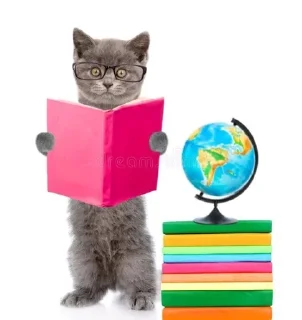 🙇‍♂ emoji Cats 2 Telegram sticker 18 of 19