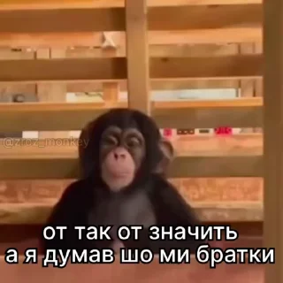 😒 emoji Їбучі мавпи Telegram sticker 23 of 74