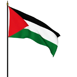 🇵🇸 emoji طوفان العراق Telegram sticker 5 of 11