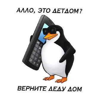 🐦 emoji Мэм Telegram sticker 7 of 19