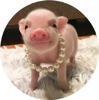 🤩 emoji Поросячьи сказки Telegram sticker 23 of 36