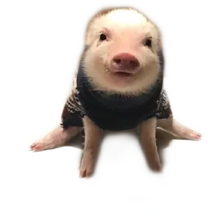 🙂 emoji Поросячьи сказки Telegram sticker 8 of 36