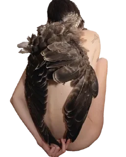 🌟 emoji @uuuelp1s Telegram sticker 15 of 45