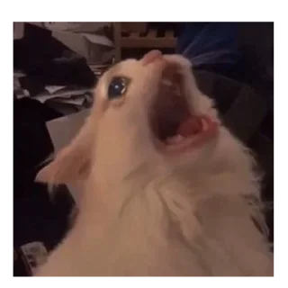 😰 emoji Сонечко Telegram sticker 8 of 72