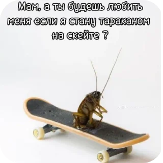 🐞 emoji Доза Telegram sticker 19 of 34