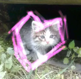 💜 emoji стикеры для самых красивых девочек Telegram sticker 8 of 26
