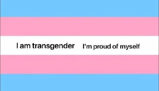 🌟 emoji TRANS RIGHT Telegram sticker 17 of 39