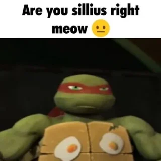 🐢 emoji Черпаший суп это не круто. Telegram sticker 19 of 44