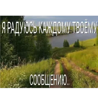 🌾 emoji Сігма вумен Telegram sticker 15 of 22