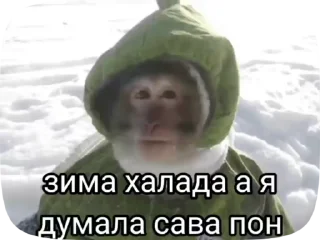 🌟 emoji Обезьянки Telegram sticker 15 of 50