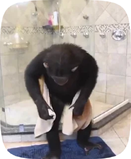 🚿 emoji Обезьянки Telegram sticker 23 of 50