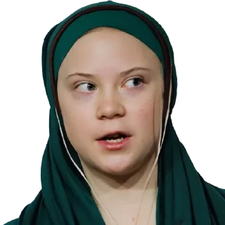 🇵🇸 emoji 2ch/bi Telegram sticker 24 of 59