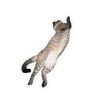 🫥 emoji Чипулик Telegram sticker 17 of 18