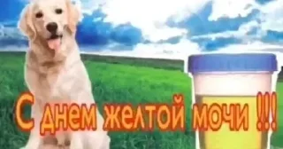 🌟 emoji янасолях Telegram sticker 7 of 19