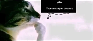 🤔 emoji Тт мемы Telegram sticker 15 of 116