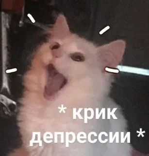😫 emoji Нюдсы души @nughope Telegram sticker 24 of 120