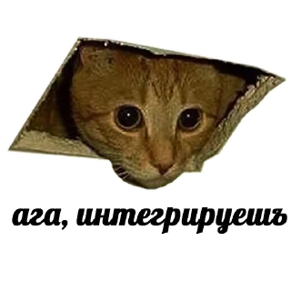 😏 emoji @publicepsilon Telegram sticker 23 of 60