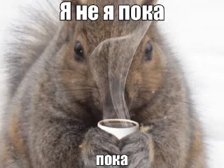 🙌 emoji твари Telegram sticker 23 of 120