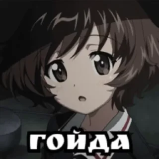 🇷🇺 emoji Гойда Telegram sticker 18 of 45