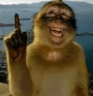 Sticker from Tiktokmms