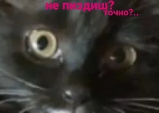 🌟 emoji Меліса Telegram sticker 22 of 27