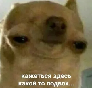 🌟 emoji Пакет егопчика Telegram sticker 23 of 76