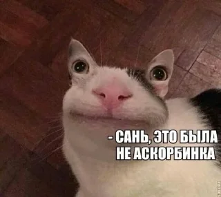 🌟 emoji Пакет егопчика Telegram sticker 6 of 76