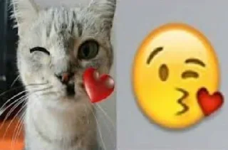 😘 emoji love :: @ge1chonokk Telegram sticker 6 of 50