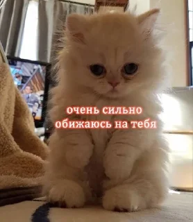 😢 emoji Бунт против мальчиков Telegram sticker 8 of 120