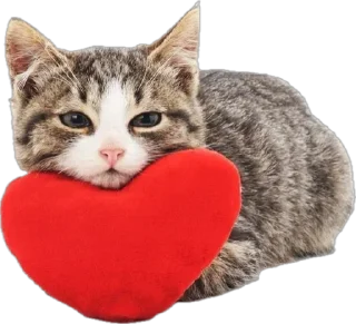 ❤️ emoji love :: @ge1chonokk Telegram sticker 12 of 50