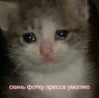 🥺 emoji Бунт против мальчиков Telegram sticker 18 of 120