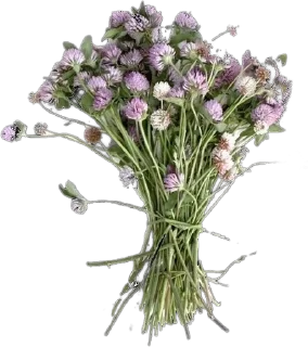 🌟 emoji flores para querida. Telegram sticker 23 of 30
