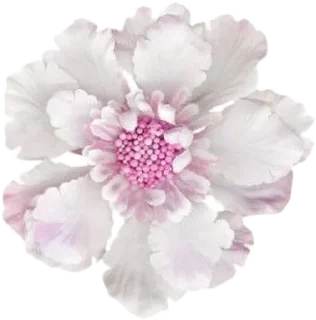 🌟 emoji flores para querida. Telegram sticker 15 of 30