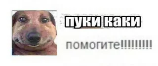 😱 emoji пуки каки Telegram sticker 12 of 18