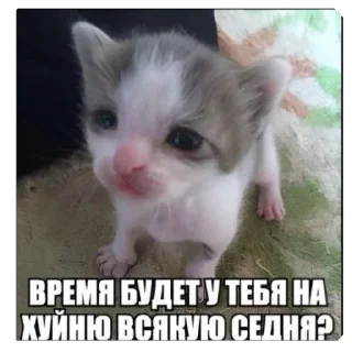 🥰 emoji пуки каки Telegram sticker 23 of 113