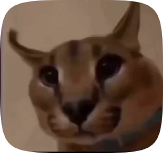 😺 emoji Анимемы (@ZAZiOs) Telegram sticker 22 of 46