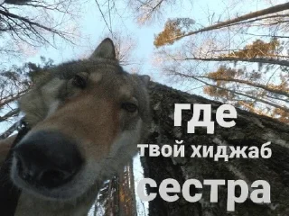 🌟 emoji на случай важных переговоров Telegram sticker 11 of 77