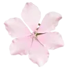 🤩 emoji ㅤㅤ୨ 🐰 ⁝ 𝑅𝖺𝗈𝗆𝖾 pack ⇆ @raomew @TgEmodziBot Telegram sticker 14 of 58