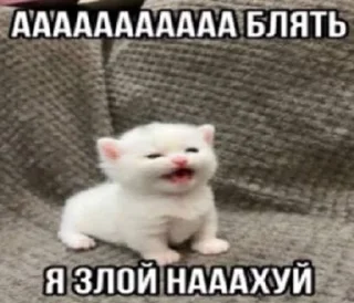 Sticker from ппш няшки