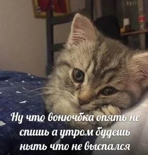 😕 emoji семпай Telegram sticker 16 of 34