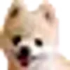 🐕 emoji ૮꒰ ｡っ -｡꒱ఎ   ⃝@mewsticks ⊹  ◜ ♡  𝅭 Telegram sticker 23 of 54