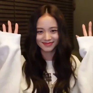 🫧 emoji 𝗕𝗟𝗔𝗖𝗞𝗣𝗜𝗡𝗞 @helpbyjennie Telegram sticker 19 of 19