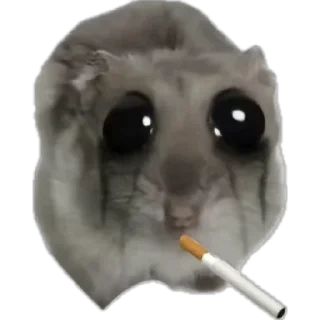🚬 emoji грустный хомяк Telegram sticker 8 of 30