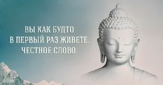 Sticker from буддистские мемы