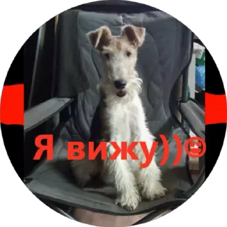 👀 emoji Вкусняшка) @BR0DYACH1Y_ART1ST Telegram sticker 13 of 17